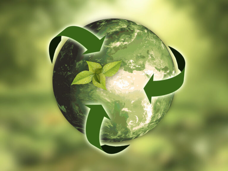sustainability dazmii spec data management